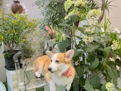 -花十悦·鲜花咖啡餐厅(振业城一期店)