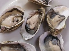-海滨假日渔家海鲜