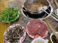 -乳仔牛牦牛汤锅 烤羊排(松潘古城店)