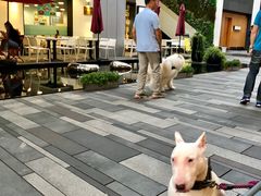 -Luneurs(幸福里店)