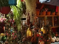 -房子红了鱼豆花重庆老火锅(广厦学院店)