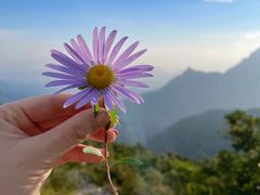 -白草畔自然风景区