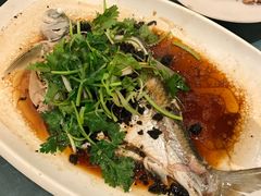 -沙龙酒家