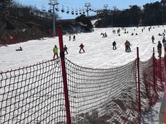 -蓟洲国际滑雪场