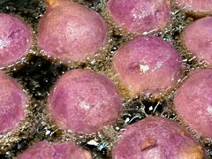 -石潭贵香酒店(玄真路店)