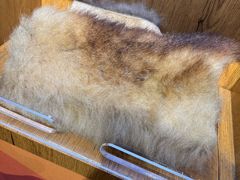 -中国大熊猫保护研究中心雅安碧峰峡基地