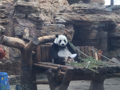 -辛玛王国游乐园