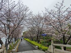 -苏州独墅湖世尊酒店