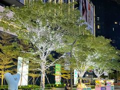 -东莞松山湖万象汇