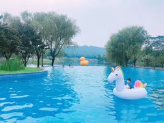 -上海佘山世茂艾美酒店