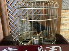 -宴桃园(门头沟店)