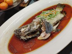 清蒸石斑鱼-旺顺阁海鲜广场(亚运村店)