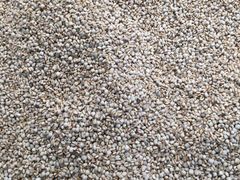 薏米仁-桐庐江南农贸市场