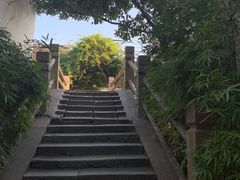 -黎里古镇