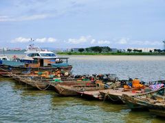 -大湾区中央湿地公园-十九涌