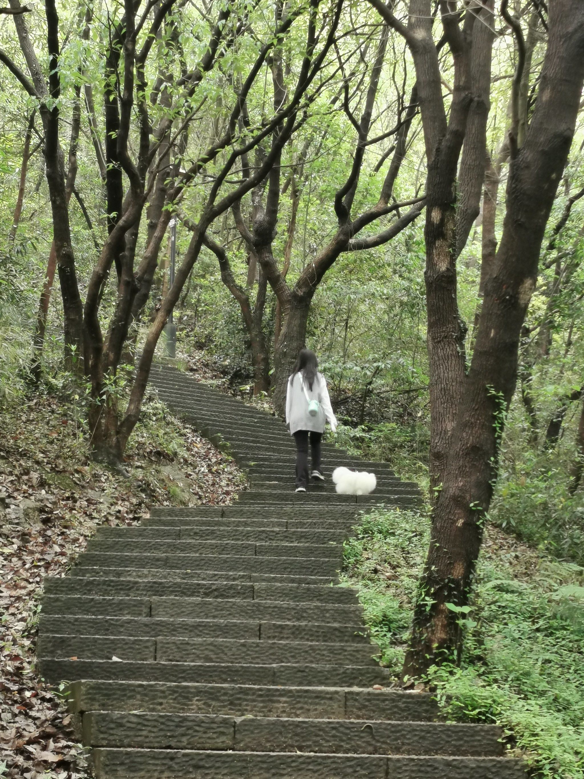 湘湖西山游步道|柴岭山部分路段