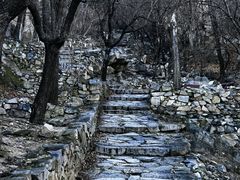 -北京鹫峰国家森林公园