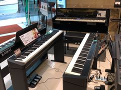 -柏斯琴行(汾阳店)