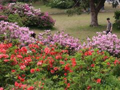 -中国科学院华南植物园
