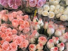 -循礼门鲜花花市(武汉循礼门店)