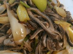 -莒县世起全羊馆(塔桥人家店)