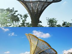 -白石龙音乐公园