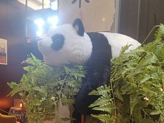 -茶去咖啡屋(武侯祠店)