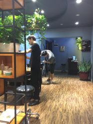 点击看大图 -藤野造型