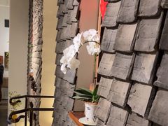 -茶肆(仙林店)