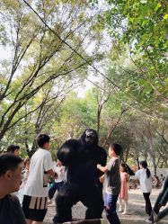 -268童话露营营地·烧烤·团建