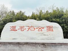 -莲花池公园