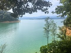 -广州市流溪河国家森林公园