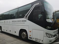 -凼仔客运码头停车场