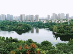 -重庆彩云湖湿地公园