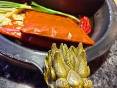 -蜀大侠火锅(总府路店)