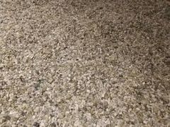 -安贞汤泉(安贞桥店)