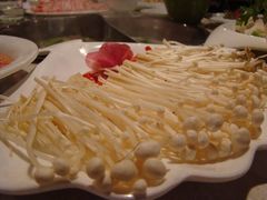 -红鼎坊·老成都火锅(新南门店)