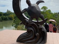 -广东惠东海龟国家级自然保护区