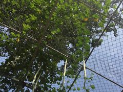 -济南植物园