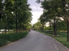 -东郊湿地公园