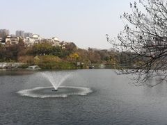 -重庆彩云湖湿地公园
