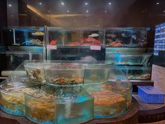 水产区-金翠皇宫粤菜·点心·海鲜(科技园店)