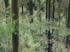 -刘伯温故里景区百丈漈