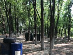 -亲兄弟真人CS团建拓展基地