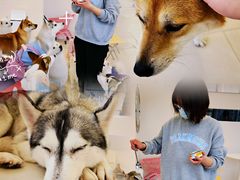 -怪兽屋·羊驼·猫咖·狗咖(俊华广场店)