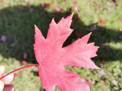 -山东大学(兴隆山校区)