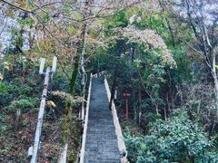 -云碧峰国家森林公园