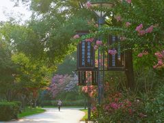 -杭州城北体育公园