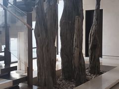 -品悦(崇明凯悦店)