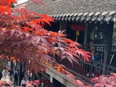 -个园